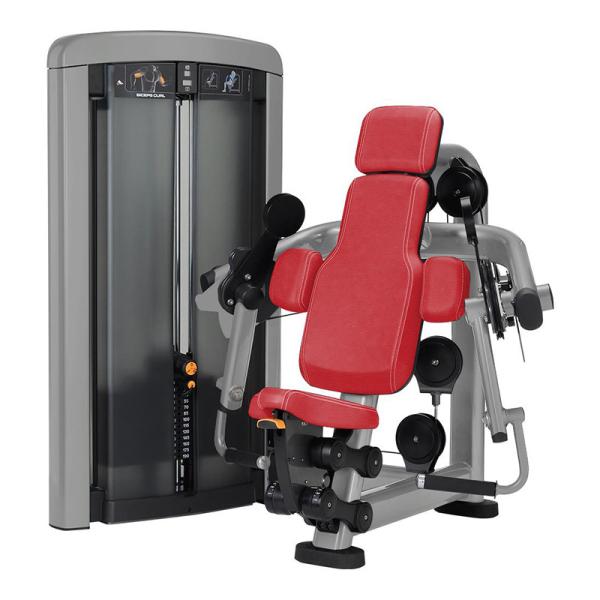 Aptidão resistente da onda do bíceps do equipamento do exercício do Gym dos artigos customizáveis para o Gym
