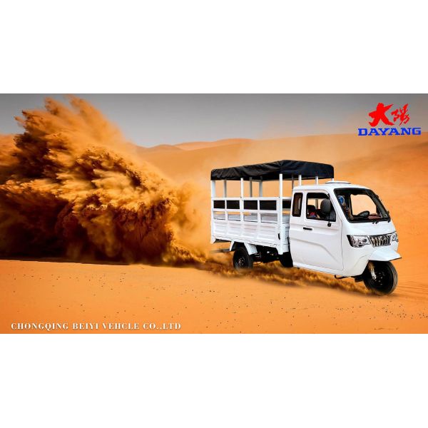 Закрытый тип кузова 2-местный пассажирский трехколесный велосипед с большим грузовым ящиком и 6 3 листовкой