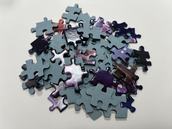 Educational Jigsaw Puzzle for Kids 3+ with Interlocking Pieces