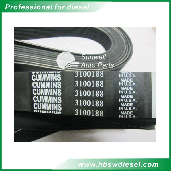 QSX15 engine Belt V Ribbed 3100188