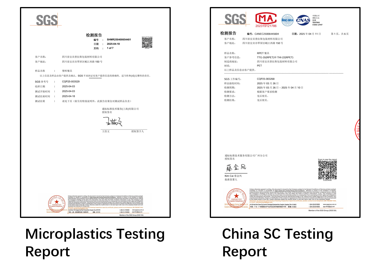 Environmentally Friendly Low Carbon High Temperature PET Buffet Plate Size L