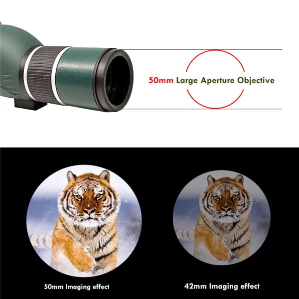 Международные двинутые под углом 12-36x50 компактируют пятнать объем с треногой планшета