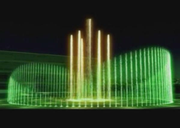 RGB DMX Lighting Dancing Waters Light & Fountain Show Wild Goose Wing Bird Design