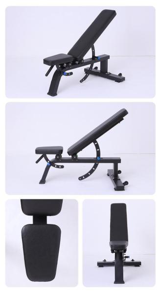 Freeman Commercial Gym Fitness Equipment Adjustable Modern Steel Sit-Up Bench Foldable Bodybuilding Bench