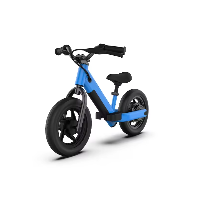 2024 AOTONG MOTOR Electric 2 Wheel Balance Scooter with Disc Brake and 16