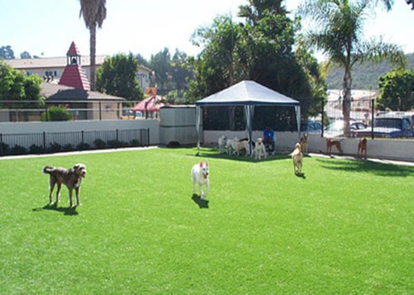 Grama artificial de vista natural do telhado da casa do balcão de 13500 Dtex para cães