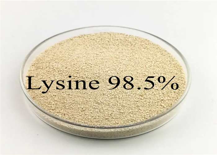 L добавки питания хлоргидрата L-лизина ранга 98,5% питания HCL лизина