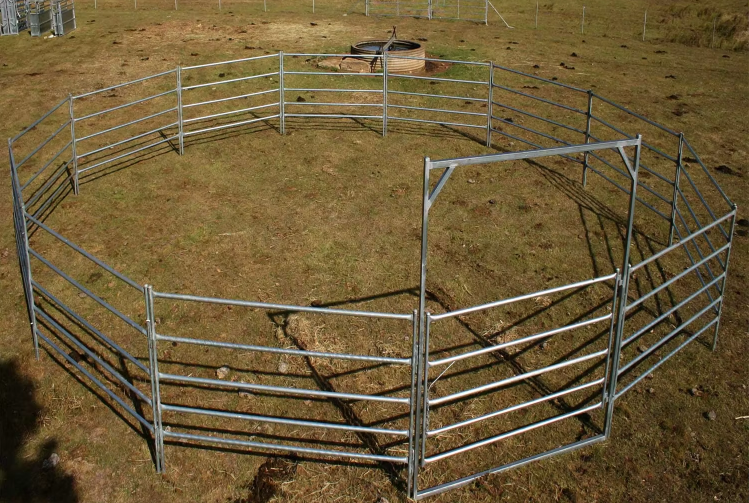 20Panel+1Gate Heavy Duty Galvanized Livestock Yard Fence Horse Round Yard panel