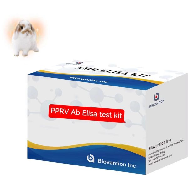 Peste Des Petits Ruminants PPRV Ab ELISA Kit Veterinary Test Kit