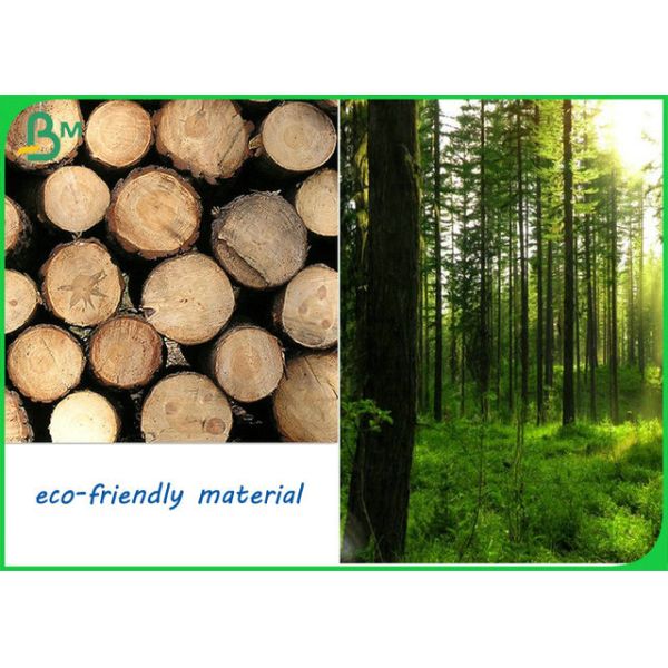 Бумага Кот-д'Ивуар сопротивления к перегибам 250гсм 300гсм жесткости для коробки медицины Бумага Кот-д'Ивуар сопротивления к перегибам 250гсм 300гсм жесткости для коробки медицины