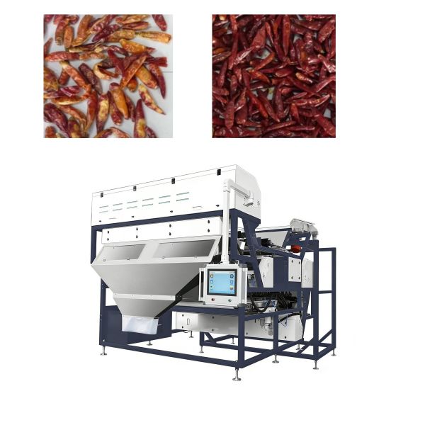 DeepSort Crawler 3T/H - AI-Powered Almond Color Sorter