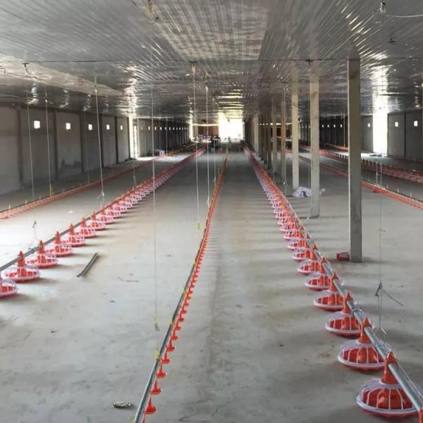 Galvanized Pipe Poultry Farming Machine Pan Feeding System Diameter 45mm