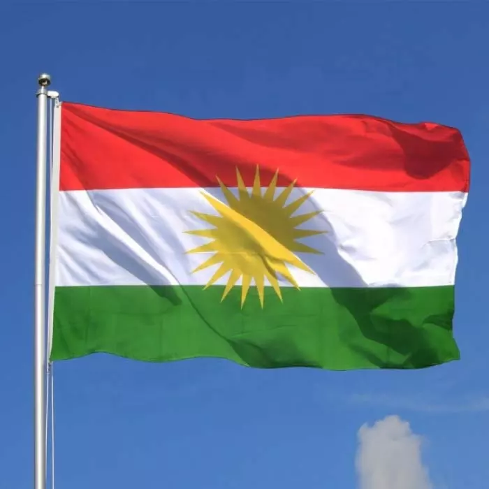 100D Polyester Fabric Custom World Flag 3x5ft Flags 48h Fast Delivery