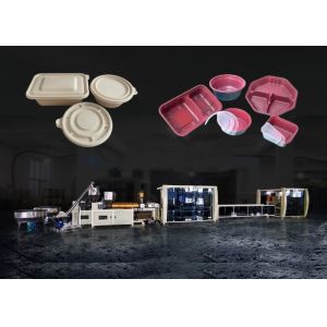 Biodegradable Tableware Machine