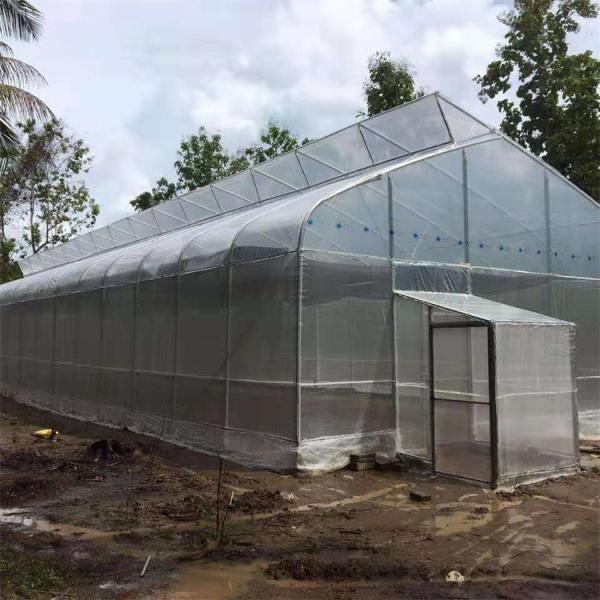 Tropical Saw Tooth Polythene Grow Tunnel Roof Ventilation 200 Micron PE Film