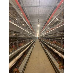 IoT Digital Management EGG CHICKEN CAGE BREEDING EQUIPMENT Horizontal Sliding