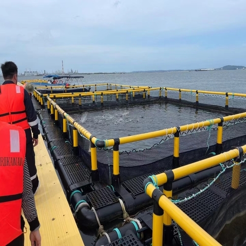 Large Scale Square Fish Farming Cage Complete Cage System For Lake Reservoir
