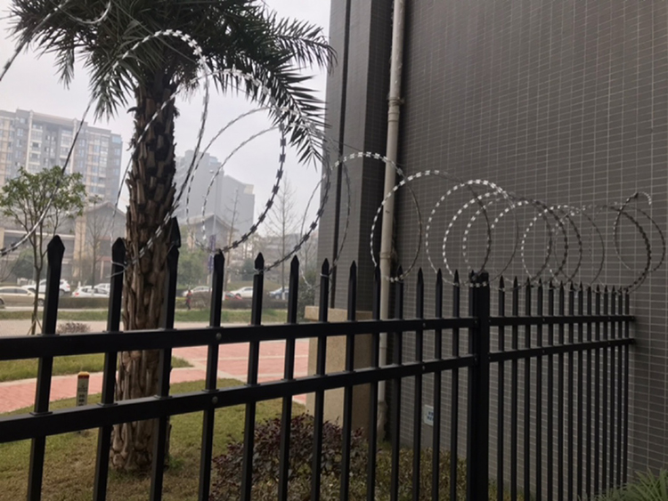 Напудрите коррозионную устойчивость провода бритвы тюрьмы диаметра катушки покрытия 450mm