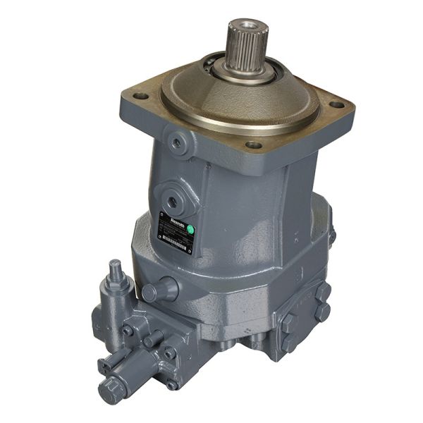 A4vg175 Pump for Rexroth Hydraulics Single Cylinder Design Support Payment in USD