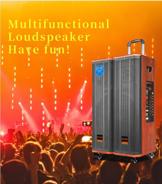ODM OEM Wooden Outdoor Active Speakers Karaoke Speaker Sound System