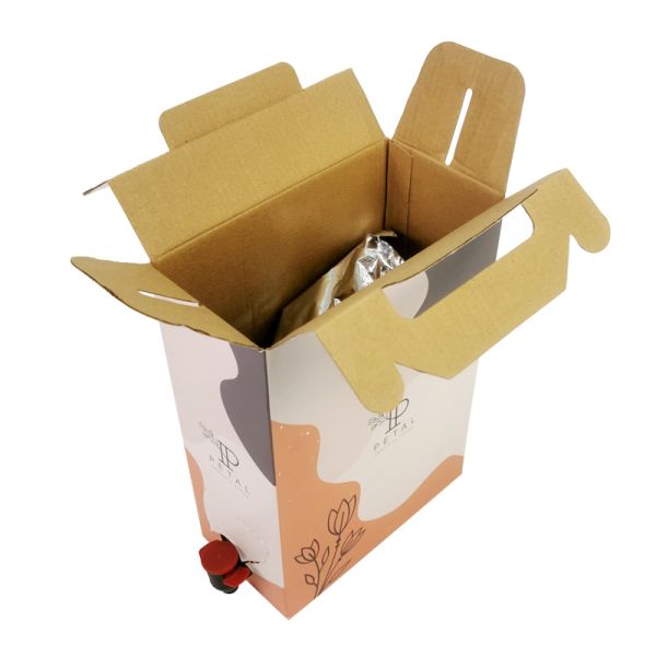 Caja de café personalizada de 1L/2L/3L, bolsa de café desechable en caja con dispensador de válvula
