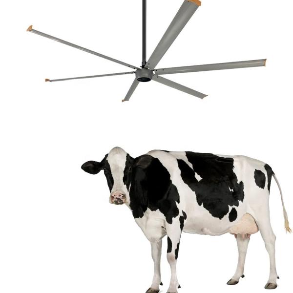 Taiwan 12ft 3 Phase 220V 1500W Brushless AC HVLS Industrial Ceiling Fan for Commercial