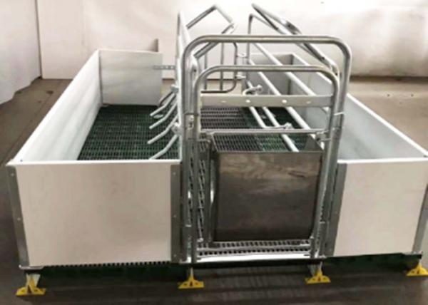 Hot Dip Galvanized Hog Farrowing Crates Anti Sliding Plastic Slots For Piglets