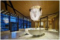 Arte creativo lujoso lámpara de antorcha LED personalizada para hotel