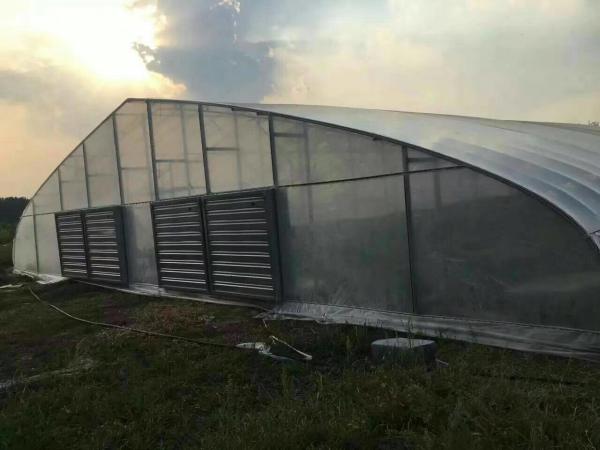 Estufa galvanizada do período do filme do PE única para vegetais 9x30m