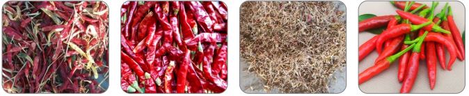 Смотреть на удаление 8.75Kw 220V 50Hz сортируя машины перца рая умное