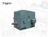 IP55 400kw Moteur à entraînement à fréquence variable asynchrone à trois phases IC611