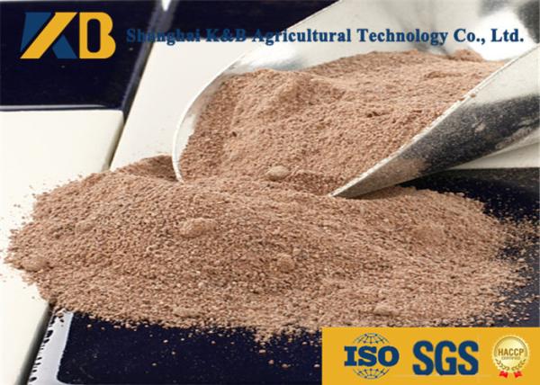 Plant Source Raw Brown Rice Protein Powder Feed Grade For Egg Chicken