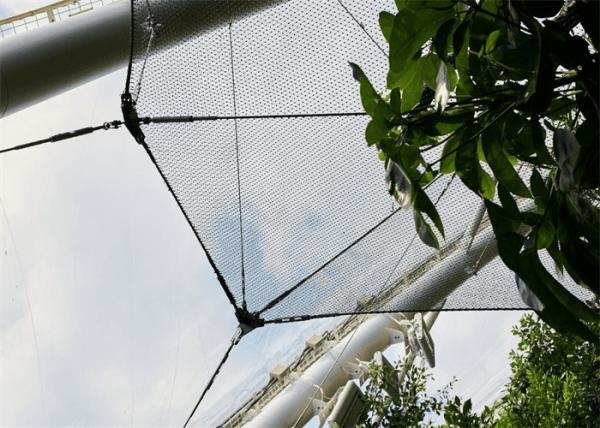 Rhombus Stainless Steel Aviary Mesh Netting High Strength 2.0mm