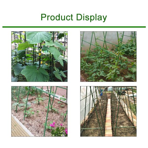 Green Plastic Coated 60cm Metal Garden Stake For Plant Support