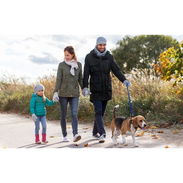 Elastic Sports Dog Collars And Harnesses , Hands Free Organic Hemp Cute Dog Leash For Running