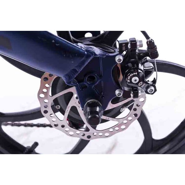 20 Inch Foldable Electric Mountain Bike Waterproof LCD Digital Display