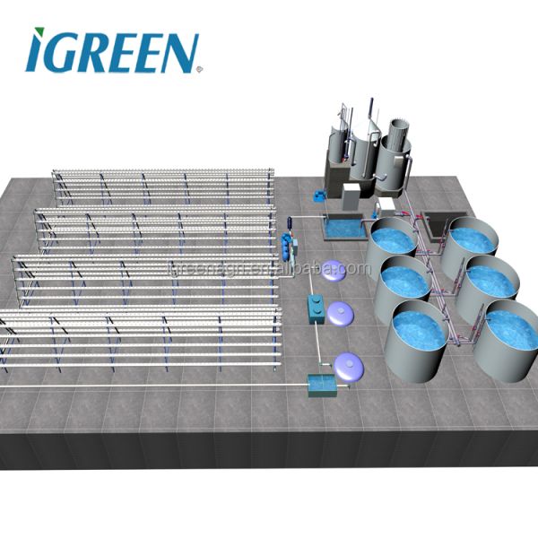 Customized Shape Corrugated Galvanized Steel Fish Pond Fish Tank PVC Tarpaulin for RAS Recirculating Aquaculture System IGREEN