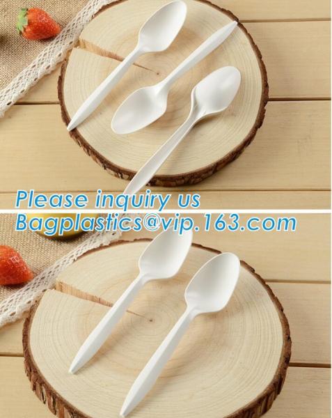 Biodegradable disposable cutlery eco friendly plastic CPLA cutlery,Disposable Biodegradable Corn Starch Cutlery/Spoon