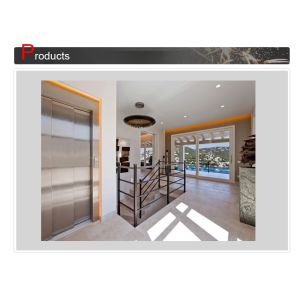 Low Noise Stainless Steel 304 Home Lift with 250-400kg Load for Villas and Residential Use