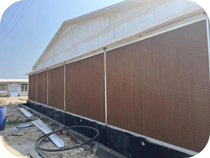 Automated H Type Battery Cage Hot Galvanized Material 544 Birds/Unit Poultry Farming