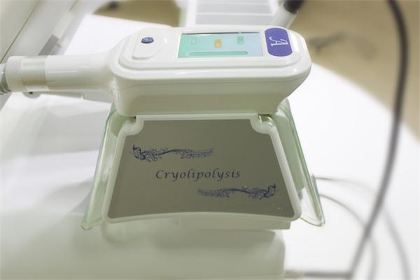 Hot sale!!! Portable cryotherapy freeze fat reduction machine with Lipo