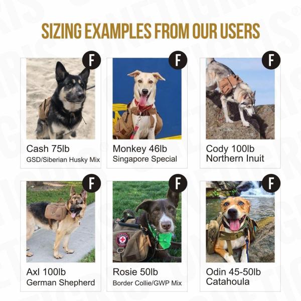Bloco exterior ideal do cão da aventura similar à trouxa do cão de Kurgo para Dog&prime tático; raça de s