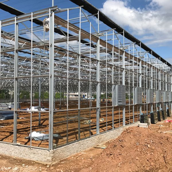 Large Size Transparent Glass Greenhouse Super Strong Resistance and Hydroponics System