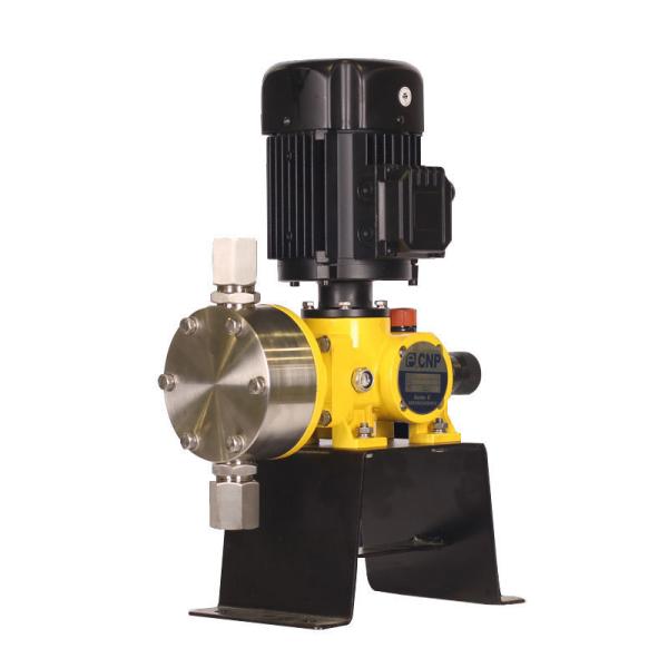 Meter Electric Diaphragm Dosing Pump For Water Treatment Reciprocating