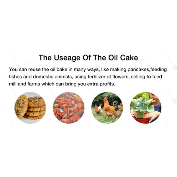 Линия добычи нефти солнцецвета добычи нефти 50 тонн на день