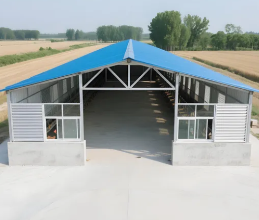 Low Maintenance Cost Prefabricated Steel Structure Poultry House with Suitable Temperature Control