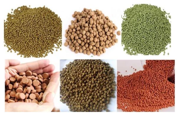 500-600kg/H Twin Screw Extruder Fish Pellet Making Machine