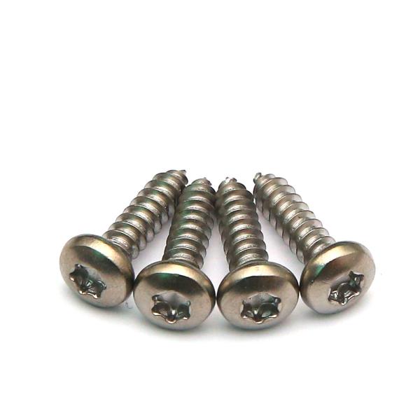 Torx Pin Pillar Drive Head Stainless Steel Self Tapping Screws A4 316 SS DIN7981
