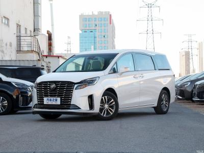 MPV Buick Gl8 2023 Es Exclusive Version Harmony Edition 7 Seats Structure Gasoline Car