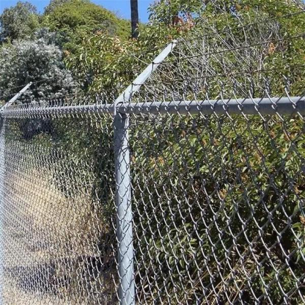 8ft Height Galvanized Chain Link Fence Zoo Wire Mesh For All Animals